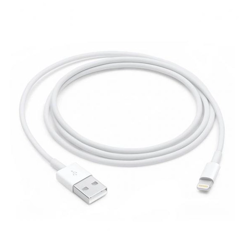 Apple Lightning to USB Cable