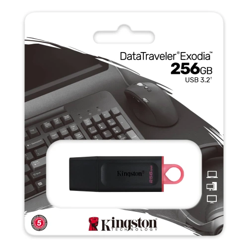 Kingston DataTraveler 256GB USB Flash Drive – High-Speed Storage